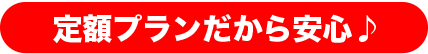 定額プランで安心